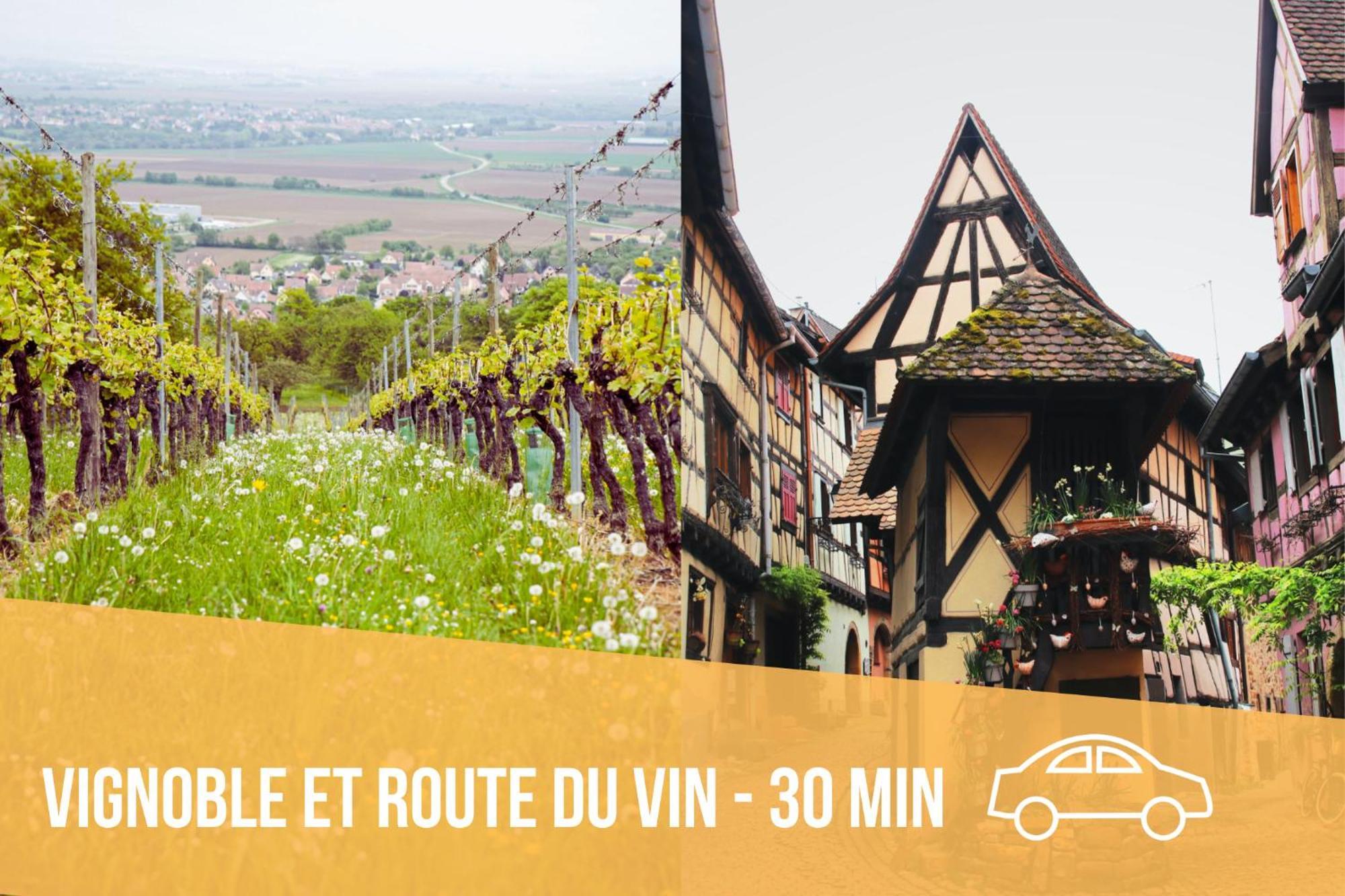 Les Pinots D'Alsace - 3 Bungalows Climatises Avec Tv - Proche Europa Park Boofzheim ห้อง รูปภาพ